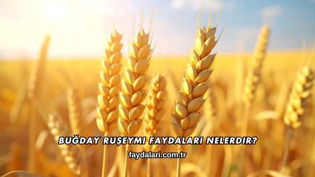 Buğday Ruşeymi Faydaları Nelerdir?
