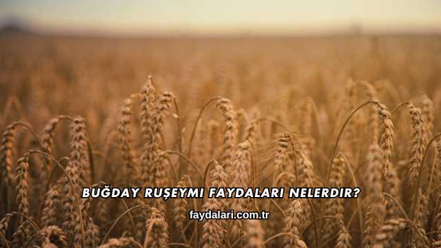 Buğday Ruşeymi Faydaları Nelerdir?