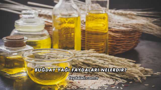 Buğday Yağı Faydaları Nelerdir?
