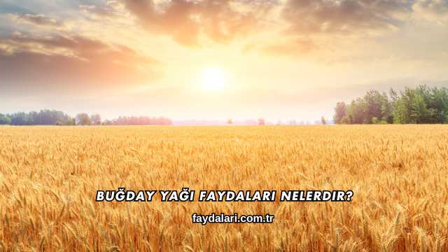 Buğday Yağı Faydaları Nelerdir?