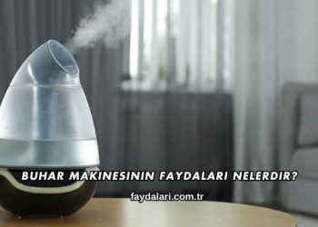 Buhar Makinesinin Faydaları Nelerdir