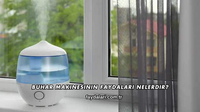 Buhar Makinesinin Faydaları Nelerdir