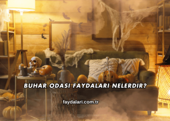 Buhar Odası Faydaları Nelerdir?