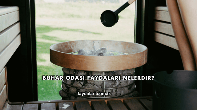 Buhar Odası Faydaları Nelerdir?