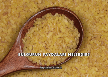 Bulgurun Faydaları Nelerdir?