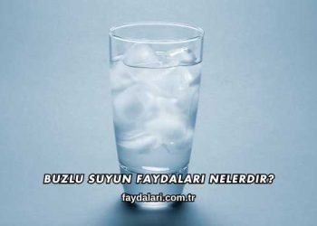 Buzlu Suyun Faydaları Nelerdir?