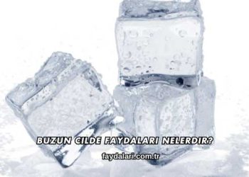 Buzun Cilde Faydaları Nelerdir?