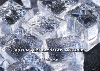 Buzun Yüze Faydaları Nelerdir?