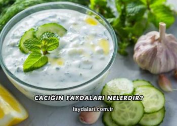 Cacığın Faydaları Nelerdir?