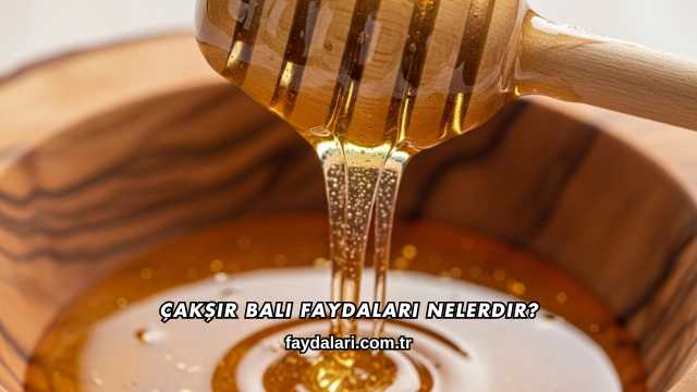 Çakşır Balı Faydaları Nelerdir?