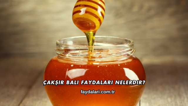 Çakşır Balı Faydaları Nelerdir?