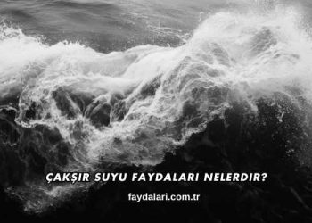 Çakşır Suyu Faydaları Nelerdir?