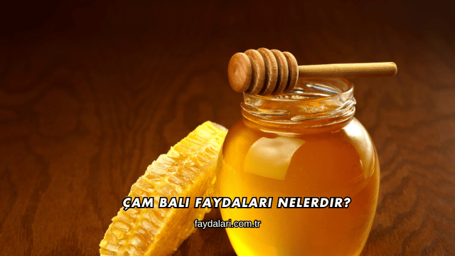 Çam Balı Faydaları Nelerdir?