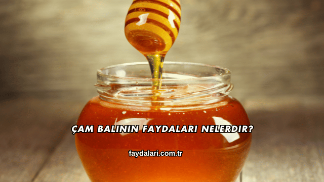 Çam Balının Faydaları Nelerdir?