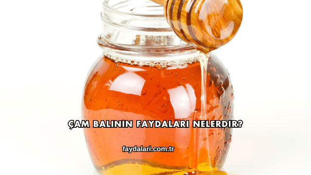 Çam Balının Faydaları Nelerdir?