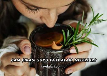 Çam Çırası Suyu Faydaları Nelerdir?