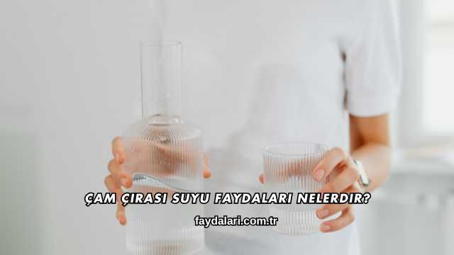 Çam Çırası Suyu Faydaları Nelerdir?