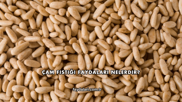 Çam Fıstığı Faydaları Nelerdir?