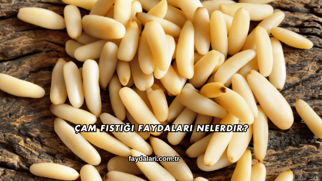 Çam Fıstığı Faydaları Nelerdir?