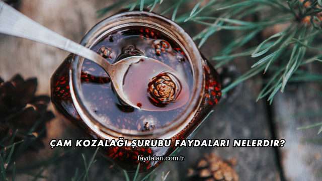 Çam Kozalağı Şurubu Faydaları Nelerdir?