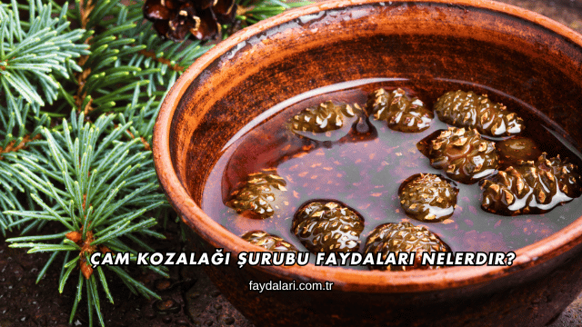 Çam Kozalağı Şurubu Faydaları Nelerdir?