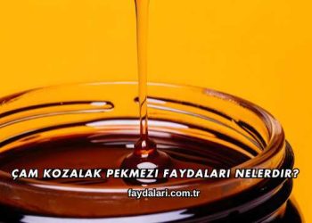 Çam Kozalak Pekmezi Faydaları Nelerdir?