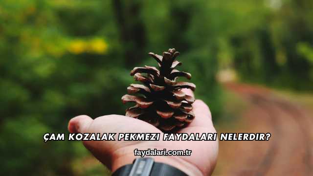 Çam Kozalak Pekmezi Faydaları Nelerdir?