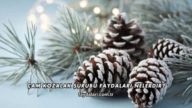 Çam Kozalak Şurubu Faydaları Nelerdir?