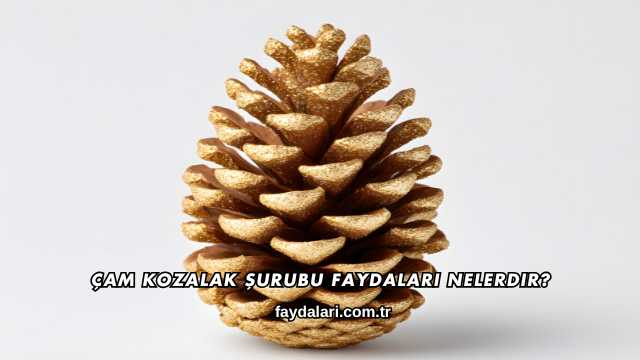 Çam Kozalak Şurubu Faydaları Nelerdir?