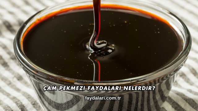 Çam Pekmezi Faydaları Nelerdir?