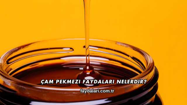 Çam Pekmezi Faydaları Nelerdir?