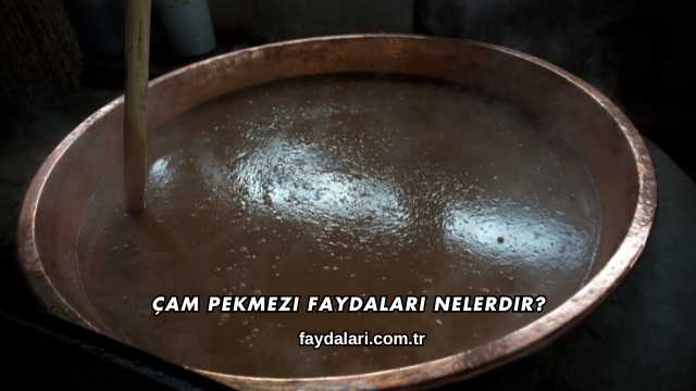 Çam Pekmezi Faydaları Nelerdir?
