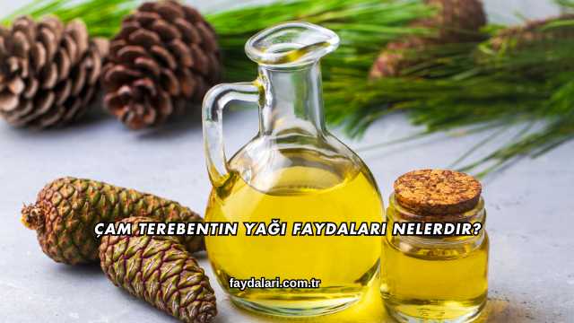 Çam Terebentin Yağı Faydaları Nelerdir?