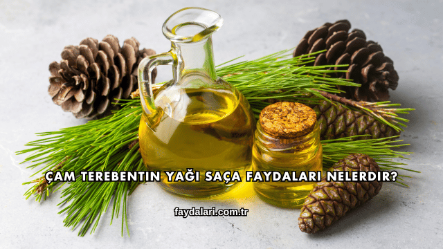 Çam Terebentin Yağı Saça Faydaları Nelerdir?
