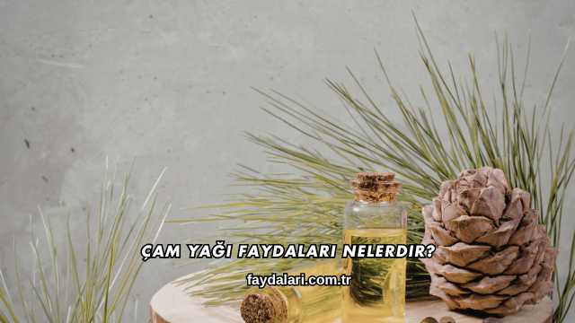 Çam Yağı Faydaları Nelerdir?