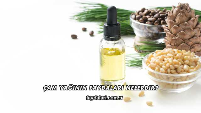 Çam Yağının Faydaları Nelerdir?