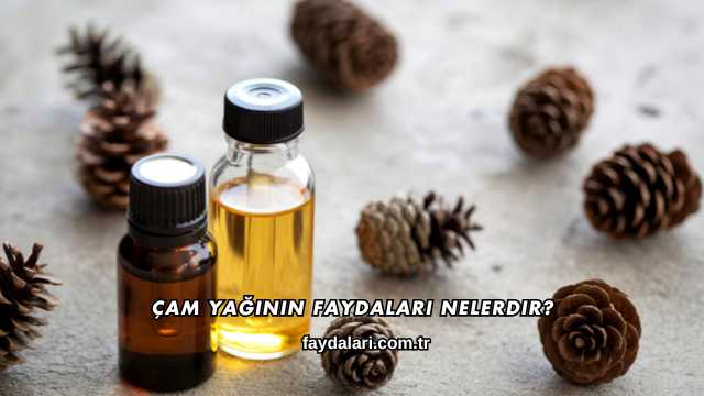 Çam Yağının Faydaları Nelerdir?
