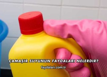 Çamaşır Suyunun Faydaları Nelerdir?