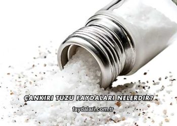 Çankırı Tuzu Faydaları Nelerdir?