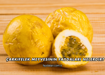 Çarkıfelek Meyvesinin Faydaları Nelerdir?
