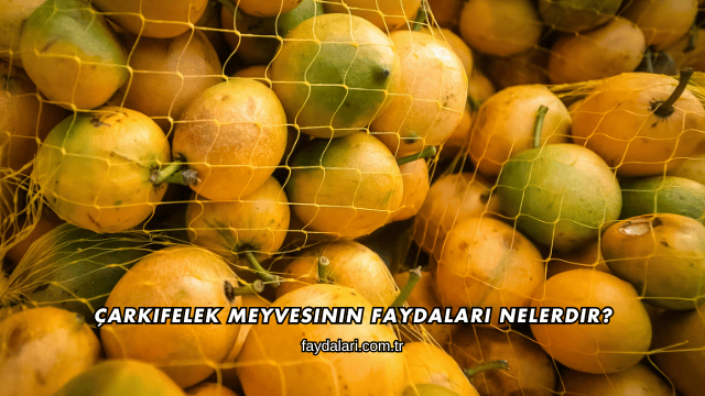 Çarkıfelek Meyvesinin Faydaları Nelerdir?