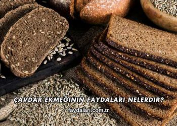 Çavdar Ekmeğinin Faydaları Nelerdir?