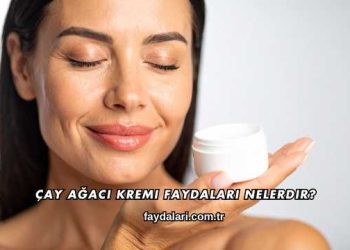 Çay Ağacı Kremi Faydaları Nelerdir?