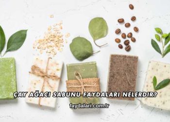 Çay Ağacı Sabunu Faydaları Nelerdir?
