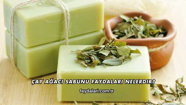 Çay Ağacı Sabunu Faydaları Nelerdir?