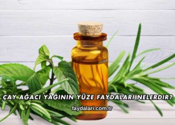 Çay Ağacı Yağının Yüze Faydaları Nelerdir?