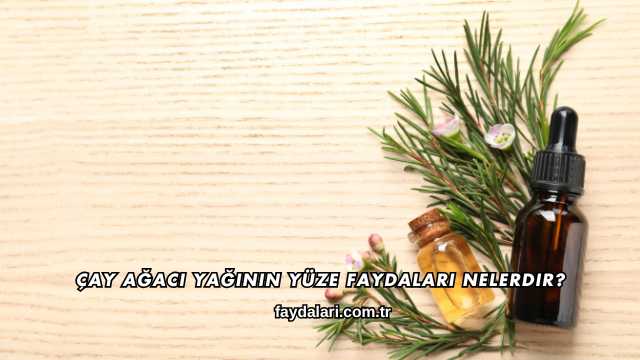 Çay Ağacı Yağının Yüze Faydaları Nelerdir?