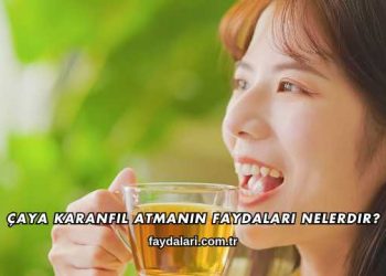 Çaya Karanfil Atmanın Faydaları Nelerdir?