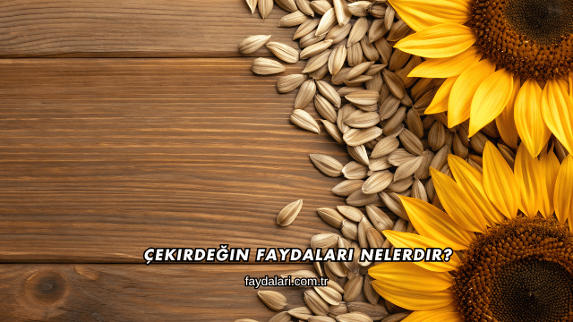 Çekirdeğin Faydaları Nelerdir?