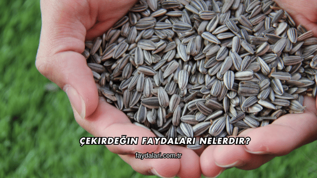 Çekirdeğin Faydaları Nelerdir?